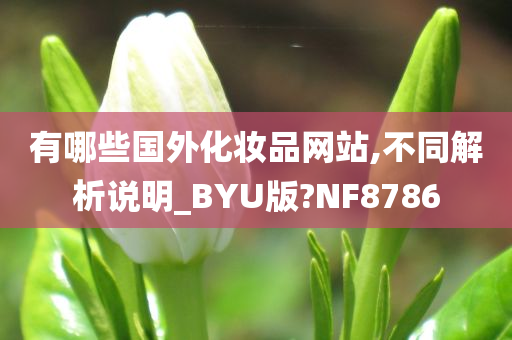 有哪些国外化妆品网站,不同解析说明_BYU版?NF8786