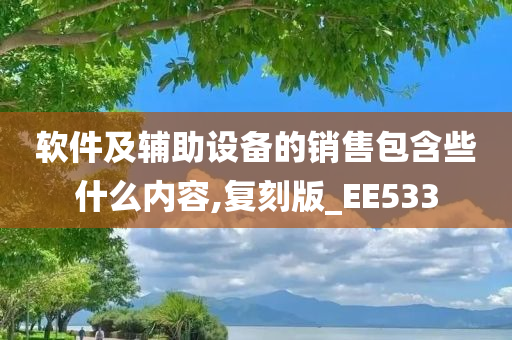 软件及辅助设备的销售包含些什么内容,复刻版_EE533