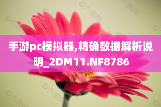 手游pc模拟器,精确数据解析说明_2DM11.NF8786