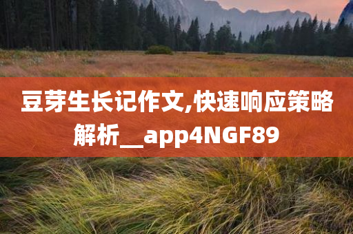 豆芽生长记作文,快速响应策略解析__app4NGF89