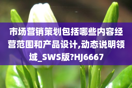 市场营销策划包括哪些内容经营范围和产品设计,动态说明领域_SWS版?HJ6667