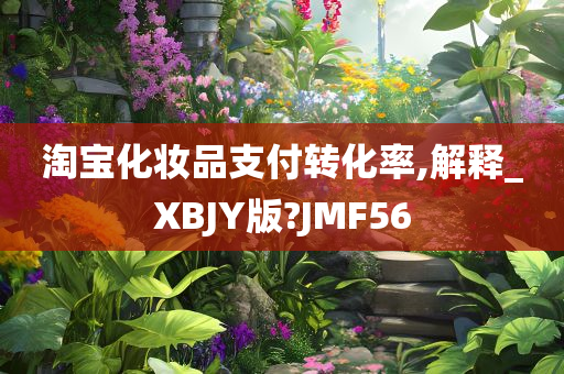 淘宝化妆品支付转化率,解释_XBJY版?JMF56