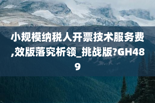 小规模纳税人开票技术服务费,效版落究析领_挑战版?GH489