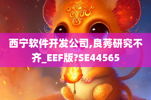 西宁软件开发公司,良莠研究不齐_EEF版?SE44565