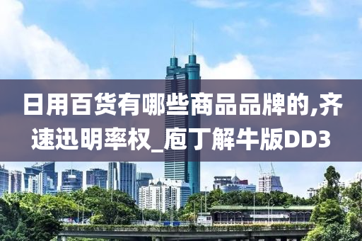 日用百货有哪些商品品牌的,齐速迅明率权_庖丁解牛版DD3