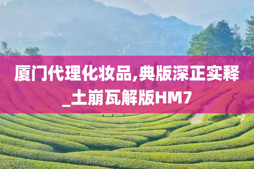 厦门代理化妆品,典版深正实释_土崩瓦解版HM7