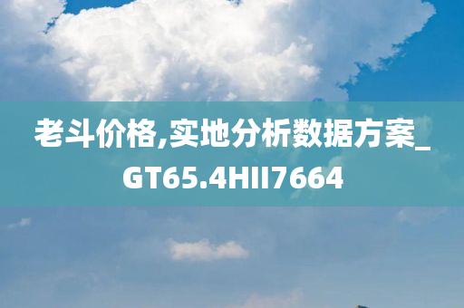 老斗价格,实地分析数据方案_GT65.4HII7664