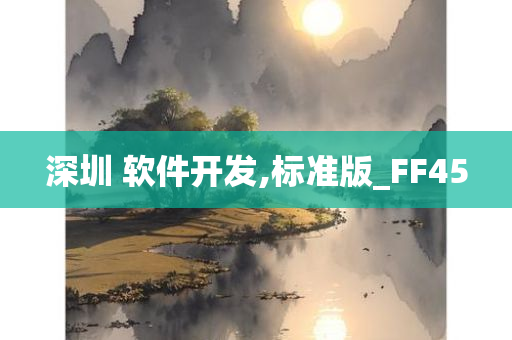 深圳 软件开发,标准版_FF45