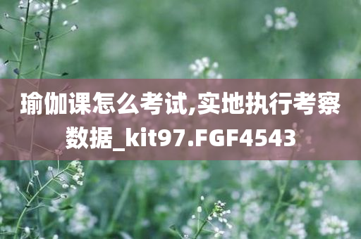 瑜伽课怎么考试,实地执行考察数据_kit97.FGF4543