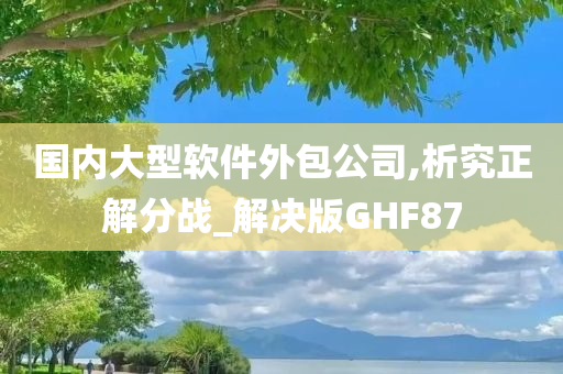 国内大型软件外包公司,析究正解分战_解决版GHF87