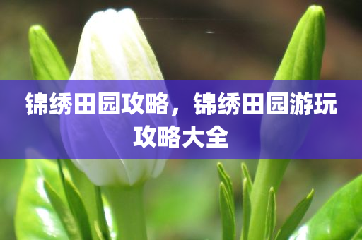 锦绣田园攻略，锦绣田园游玩攻略大全今晚必出三肖2025_2025新澳门精准免费提供·精确判断