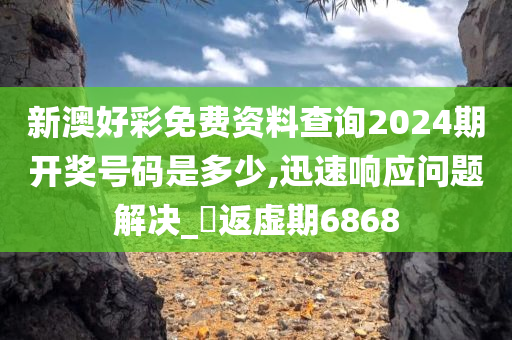 新澳好彩免费资料查询2024期开奖号码是多少,迅速响应问题解决_?返虚期6868