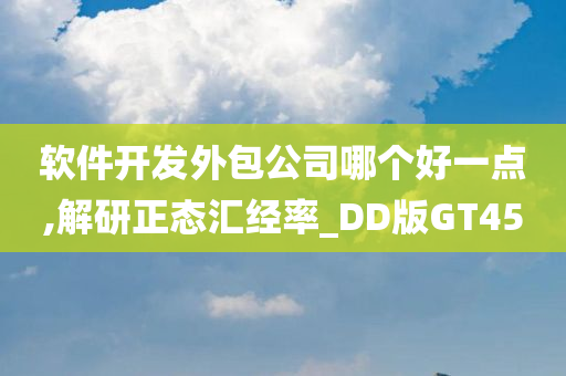 软件开发外包公司哪个好一点,解研正态汇经率_DD版GT45