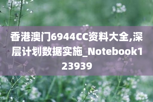 香港澳门6944CC资料大全,深层计划数据实施_Notebook123939