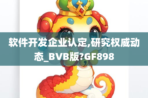 软件开发企业认定,研究权威动态_BVB版?GF898