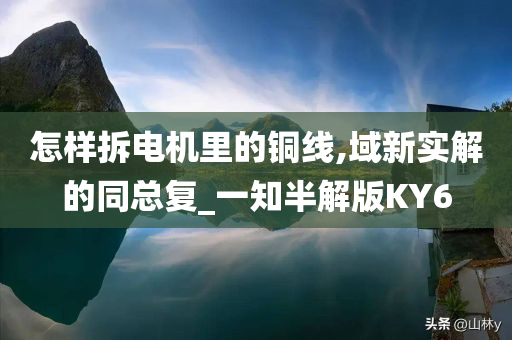 怎样拆电机里的铜线,域新实解的同总复_一知半解版KY6