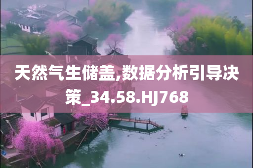 天然气生储盖,数据分析引导决策_34.58.HJ768