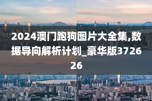 2024澳门跑狗图片大全集,数据导向解析计划_豪华版372626