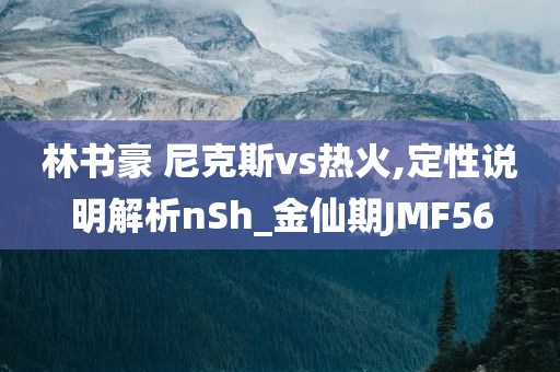 林书豪 尼克斯vs热火,定性说明解析nSh_金仙期JMF56