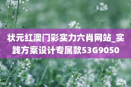 状元红澳门彩实力六肖网站_实践方案设计专属款53G9050