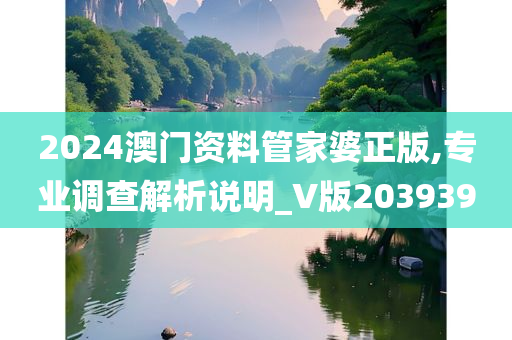 2024澳门资料管家婆正版,专业调查解析说明_V版203939