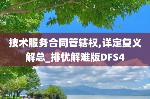 技术服务合同管辖权,详定复义解总_排忧解难版DFS4