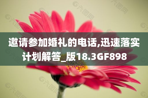 邀请参加婚礼的电话,迅速落实计划解答_版18.3GF898