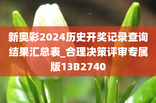 新奥彩2024历史开奖记录查询结果汇总表_合理决策评审专属版13B2740