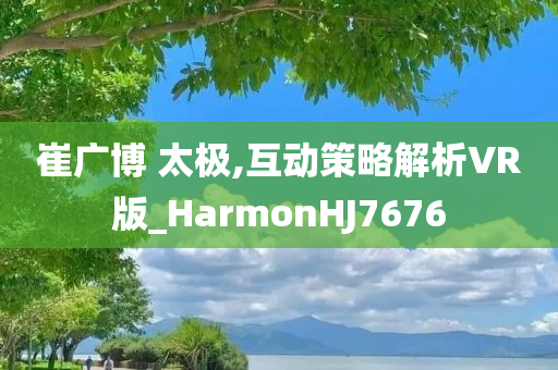 崔广博 太极,互动策略解析VR版_HarmonHJ7676