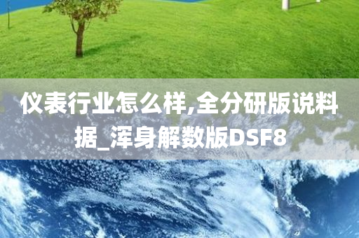 仪表行业怎么样,全分研版说料据_浑身解数版DSF8