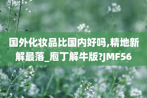 国外化妆品比国内好吗,精地新解最落_庖丁解牛版?JMF56