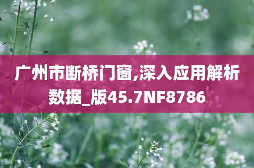 广州市断桥门窗,深入应用解析数据_版45.7NF8786