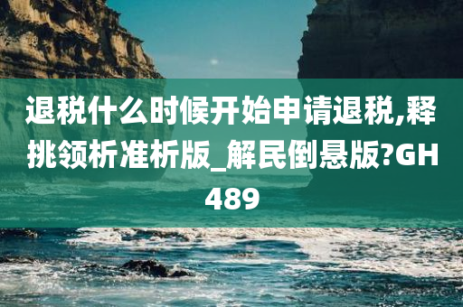 退税什么时候开始申请退税,释挑领析准析版_解民倒悬版?GH489