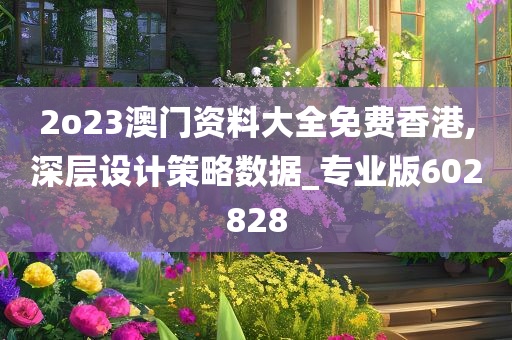 2o23澳门资料大全免费香港,深层设计策略数据_专业版602828