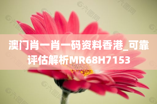 澳门肖一肖一码资料香港_可靠评估解析MR68H7153