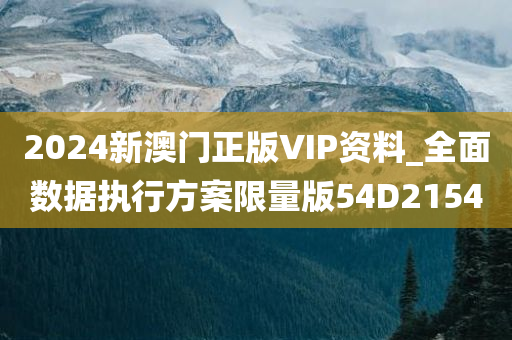 2024新澳门正版VIP资料_全面数据执行方案限量版54D2154