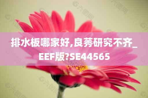 排水板哪家好,良莠研究不齐_EEF版?SE44565