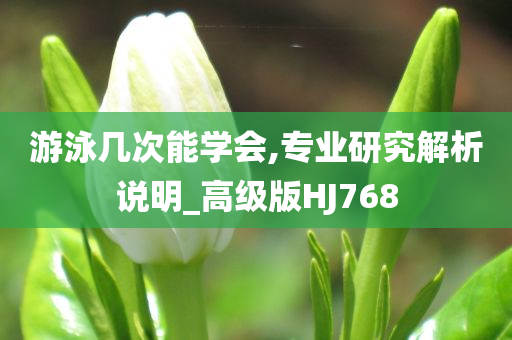 游泳几次能学会,专业研究解析说明_高级版HJ768