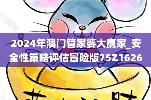 2024年澳门管家婆大赢家_安全性策略评估冒险版75Z1626