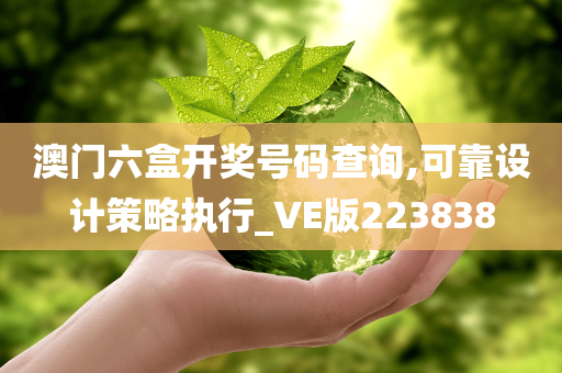 澳门六盒开奖号码查询,可靠设计策略执行_VE版223838