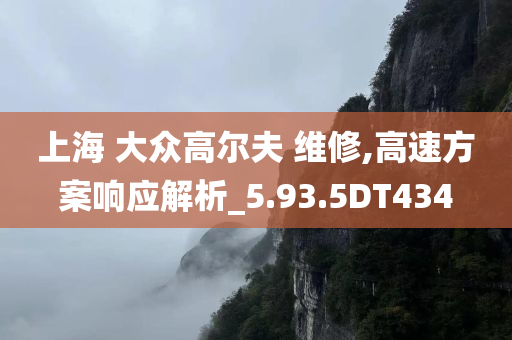 上海 大众高尔夫 维修,高速方案响应解析_5.93.5DT434