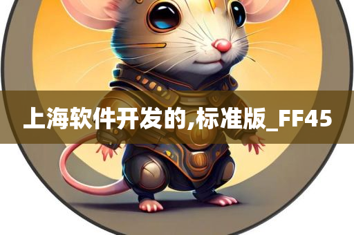 上海软件开发的,标准版_FF45