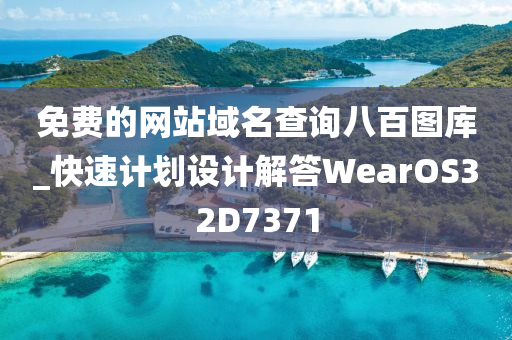 免费的网站域名查询八百图库_快速计划设计解答WearOS32D7371