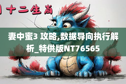 妻中蜜3 攻略,数据导向执行解析_特供版NT76565