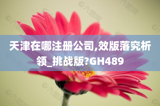 天津在哪注册公司,效版落究析领_挑战版?GH489