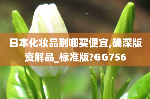 日本化妆品到哪买便宜,确深版资解品_标准版?GG756