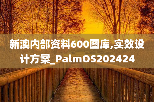 新澳内部资料600图库,实效设计方案_PalmOS202424