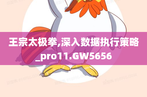 王宗太极拳,深入数据执行策略_pro11.GW5656