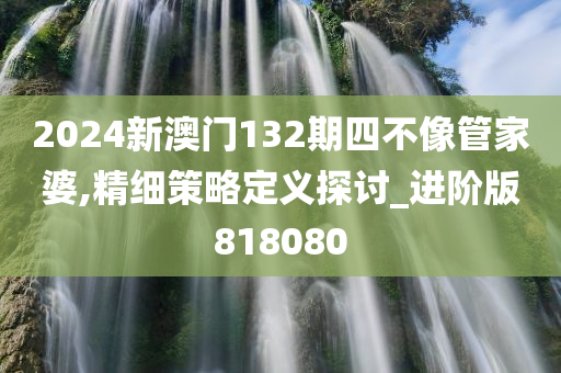 2024新澳门132期四不像管家婆,精细策略定义探讨_进阶版818080