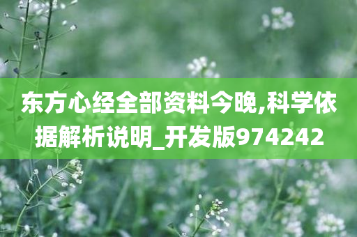 东方心经全部资料今晚,科学依据解析说明_开发版974242